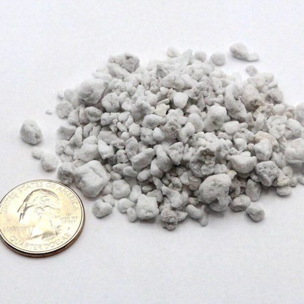 Small pile of perlite, white rock-like granules, shown next to a quarter for size
