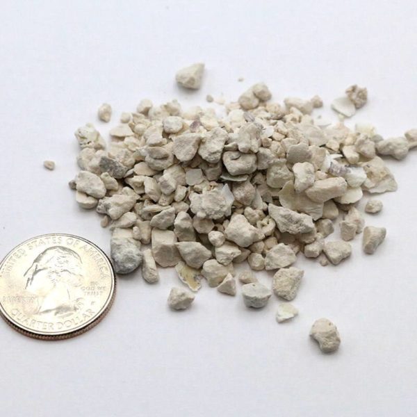 Small pile of crushed oyster shells next to a quarter for size comparison; individual pieces appear to be 1/15th the size of a quarter