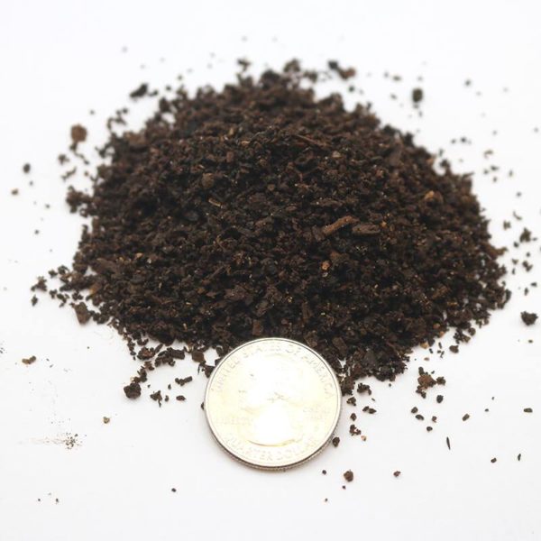Small pile of Earthen Organics worm castings shown next to an American Quarter to show size reference